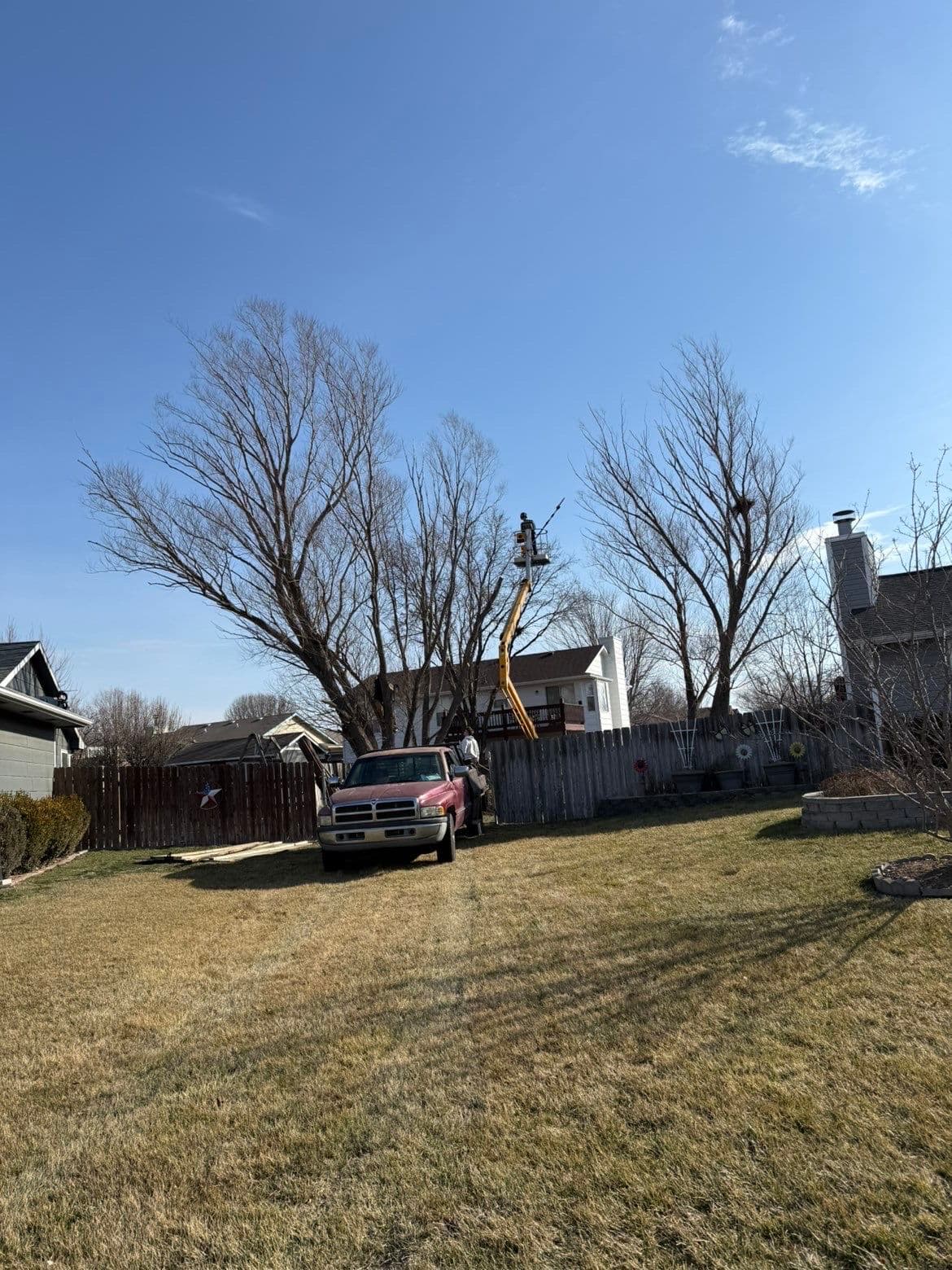 Gallery photos for Making Space with Expert Tree Removal in Newton: Image #2