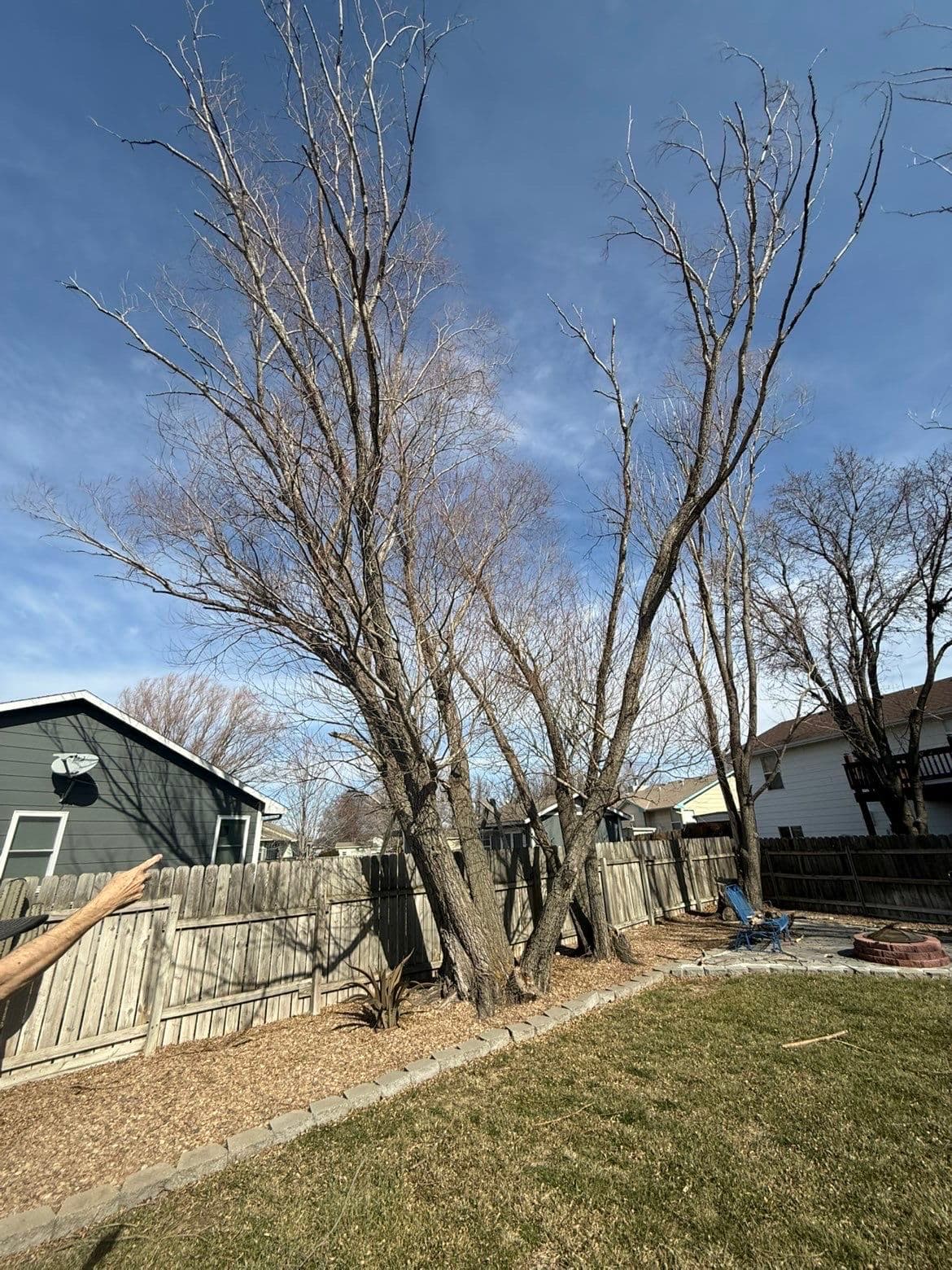 Gallery photos for Making Space with Expert Tree Removal in Newton: Image #1