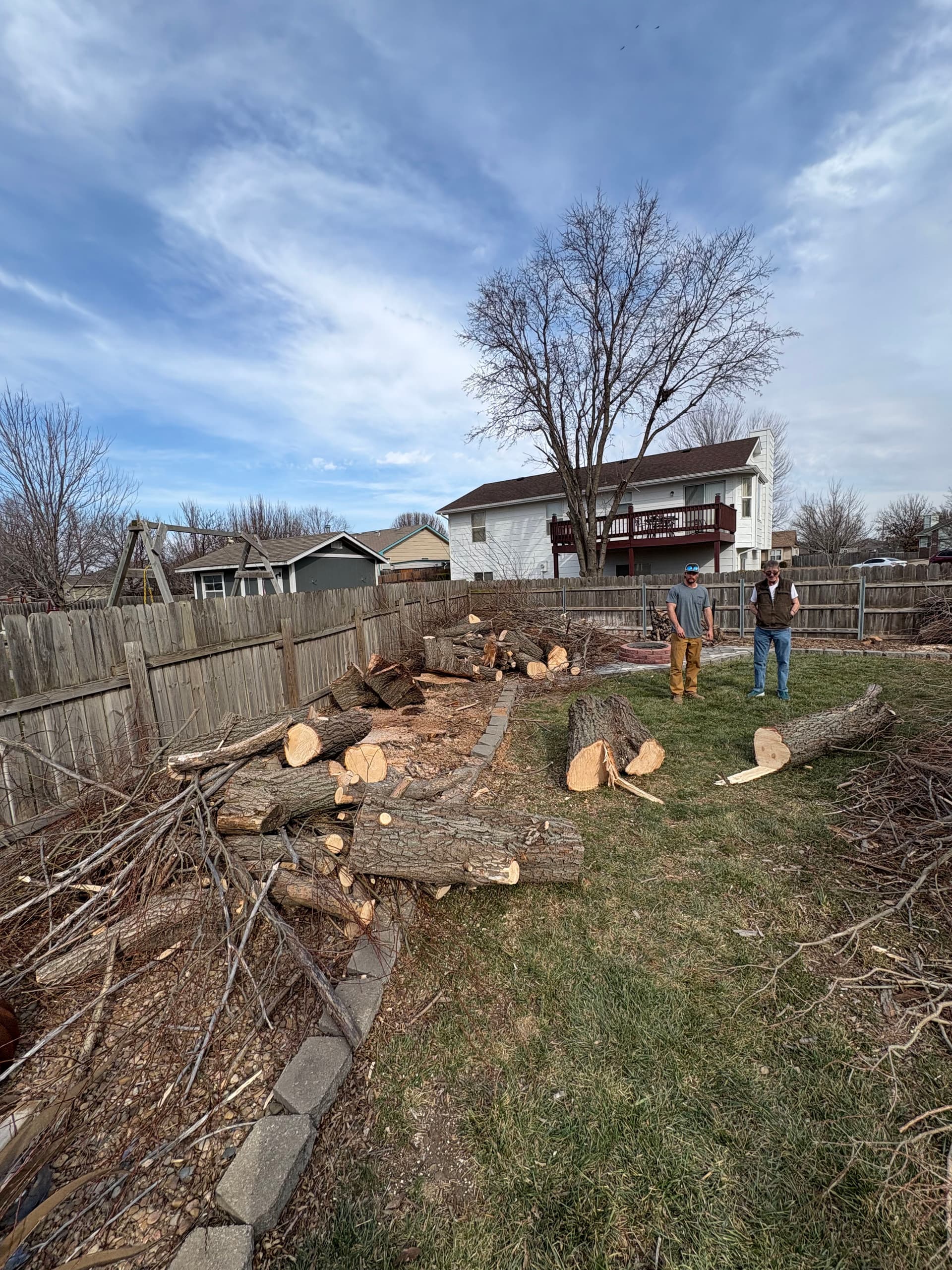 Making Space with Expert Tree Removal in Newton
