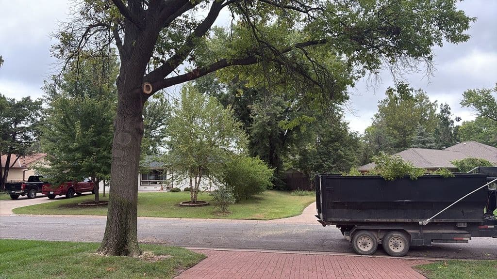 Seamless Home Moving and Expert Tree Trimming