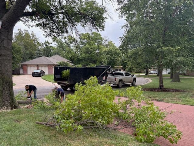 Seamless Home Moving and Expert Tree Trimming