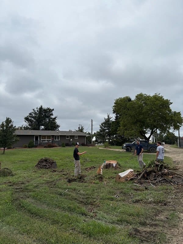 Project Efficient Tree Trimming and Removal Services image
