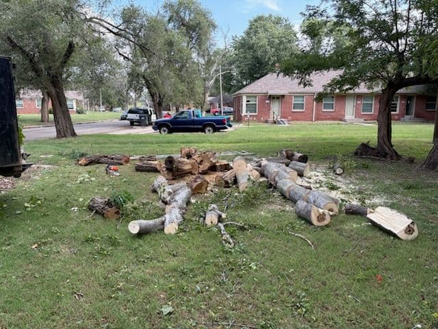 Expert Tree Trimming in Wichita image