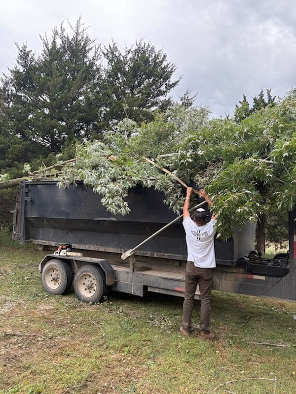Gallery photos for Efficient Tree Removal by JBS Crew Co.: Image #1