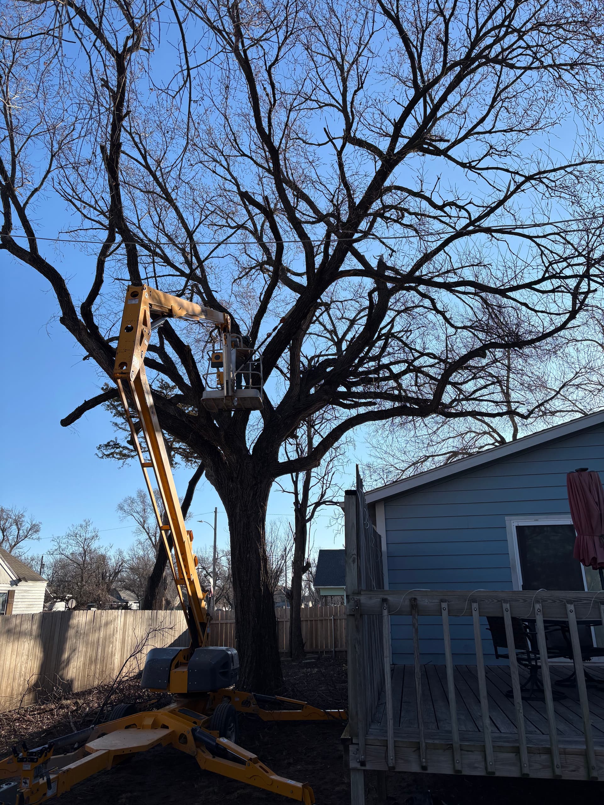 Huge Tree Removed Safely in Sedgwick KS image