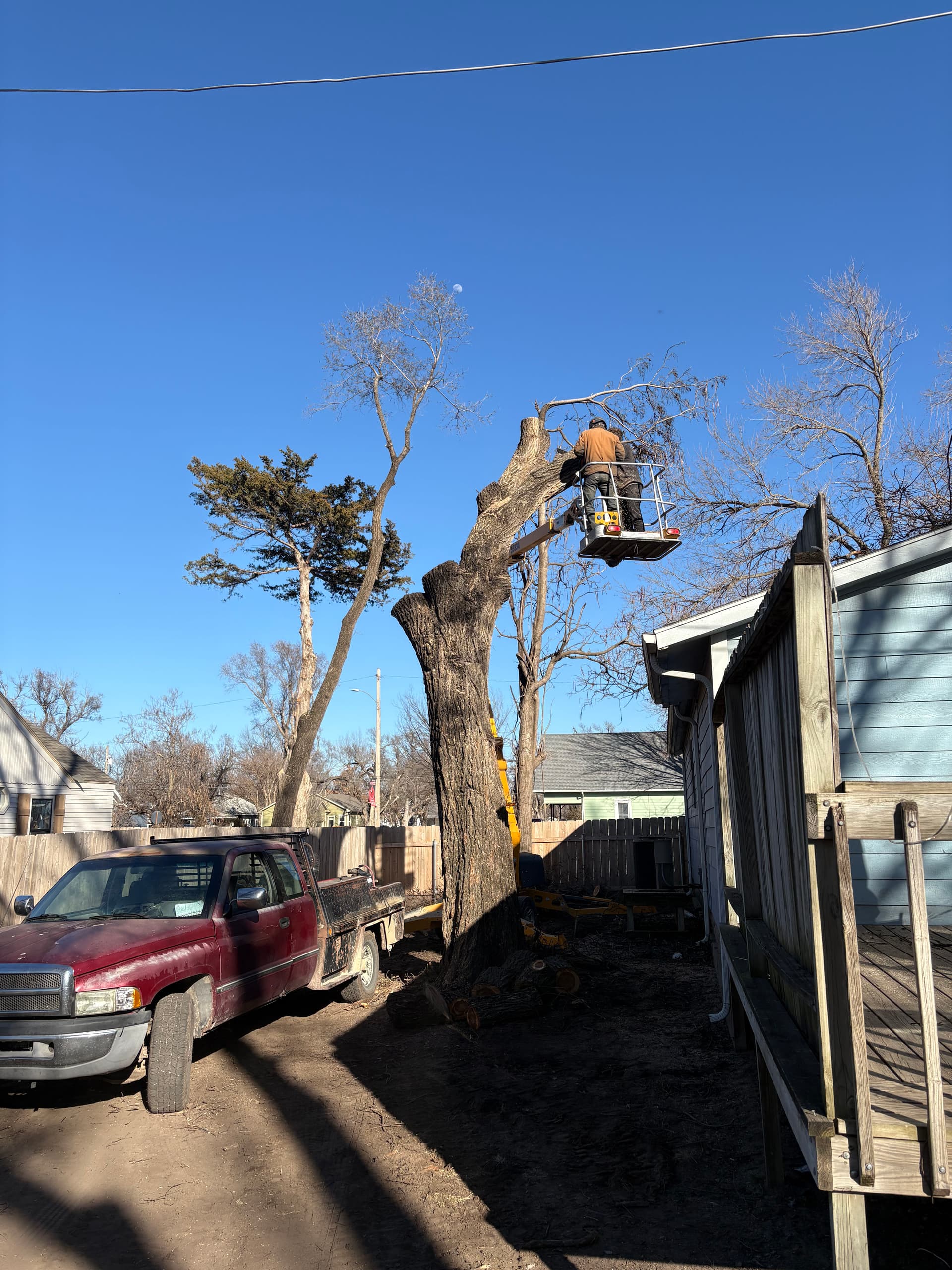 Gallery photos for Huge Tree Removed Safely in Sedgwick KS: Image #1
